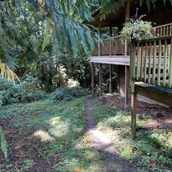 Henderson's Hauling & Cleanup - Slope that is now clean