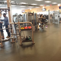 The gym in a nutshell The gym in a nutshell
