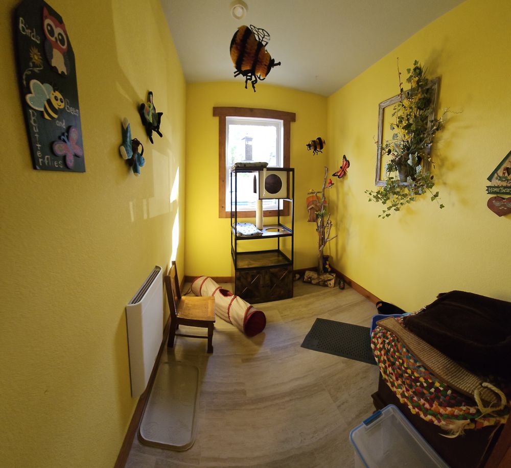 Dogz & Katz Luxury Pet Boarding - pet boarding facility in Belle Plaine, MN