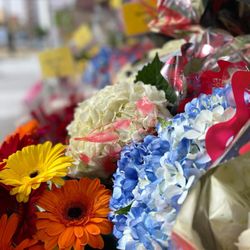 Plaza Express Flowers