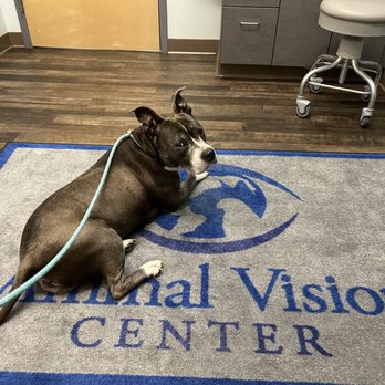 Animal Vision Center - Veterinarians Near Me - Mountlake Terrace, Washington Animal Vision Center - Veterinarians Near Me - Mountlake Terrace, Washington