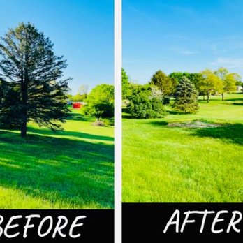 La sierra TREES Service - Tree Services Near Me La sierra TREES Service - Tree Services Near Me
