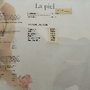 Photo of La Piel