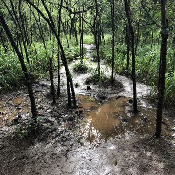 Ehukai Pillbox Hike - It's a muddy uphill climb - Hiking Near Me - Haleiwa, Hawaii