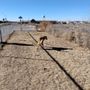 Photo of Holbrook Dog Park