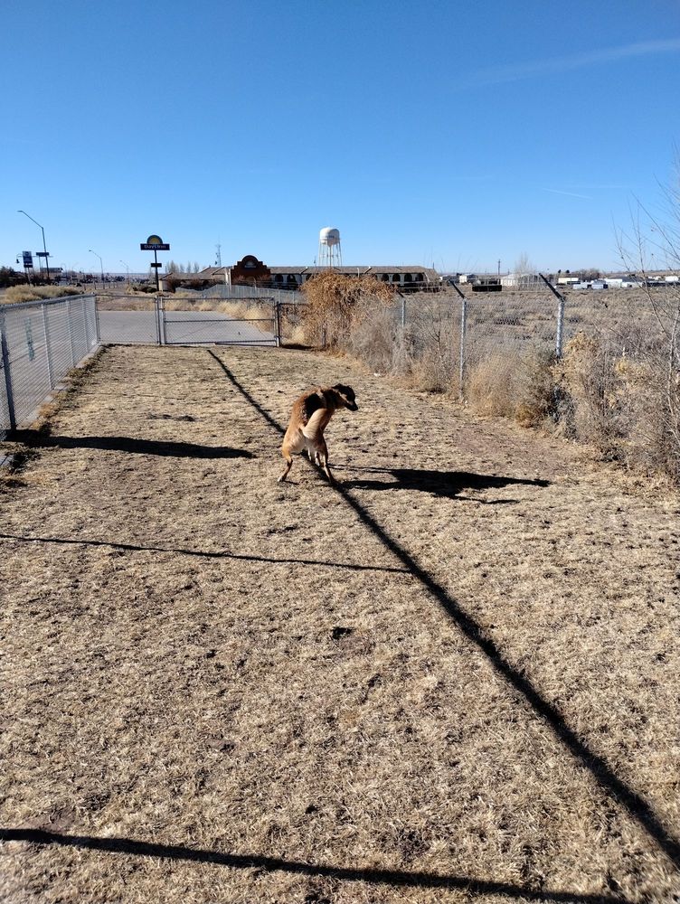 Holbrook Dog Park Logo