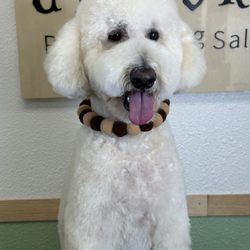 Unicorn Pet Grooming Salon