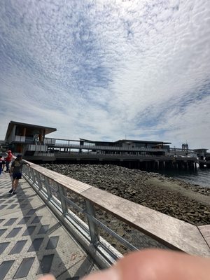 Bainbridge Island Ferry by null