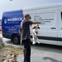 Photo of Maverick Water Heaters & plumbing