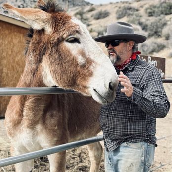 Desert Rose Ranch - Paul the owner and Big Ben Franklin - Petting Zoos Near Me - Virginia City, Nevada Desert Rose Ranch - Paul the owner and Big Ben Franklin - Petting Zoos Near Me - Virginia City, Nevada