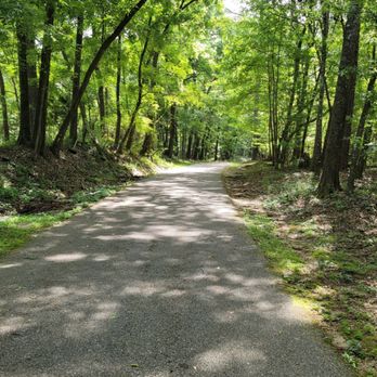 Tom Brown Park - The road less traveled....is my road - Dog Parks Near Me - Tallahassee, Florida Tom Brown Park - The road less traveled....is my road - Dog Parks Near Me - Tallahassee, Florida