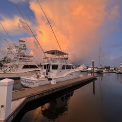 Marlin My Darlin Sportfishing - Perfect day for fishin