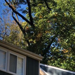Northern Virginia Tree Experts - Trees protect from summer's sun and winter's wind. They also provide sound protection from the outside world and clean the ai...