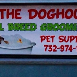 In the Doghouse