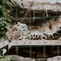 Photo of Lincoln Park Zoo