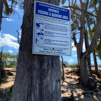 Laniakea Beach - Turtle rules - Beaches Near Me - Haleiwa, Hawaii Laniakea Beach - Turtle rules - Beaches Near Me - Haleiwa, Hawaii