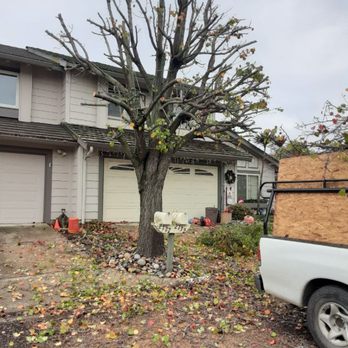 Carrillo Tree Services - Tree Services Near Me