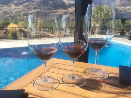 Black Hills Estate Winery by null