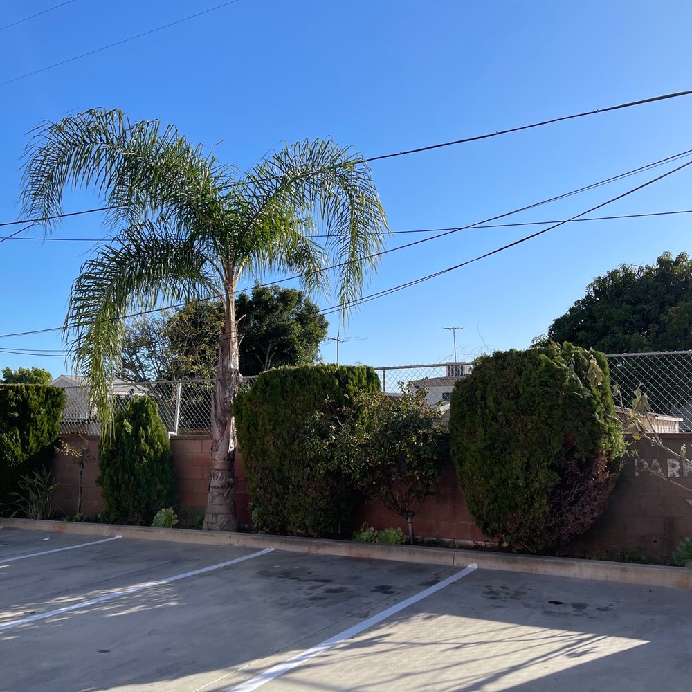 Tri-City Motel & Kitchenettes - Parking - Hotels Near Me - Downey, California Tri-City Motel & Kitchenettes - Parking - Hotels Near Me - Downey, California