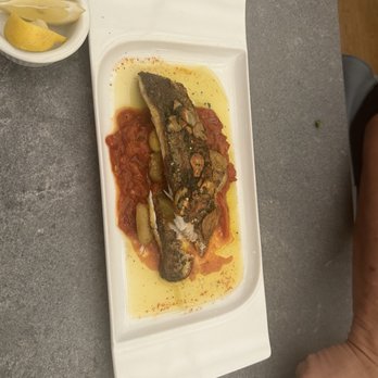 Savor - Bronzino - New American Near Me - San Antonio, Texas