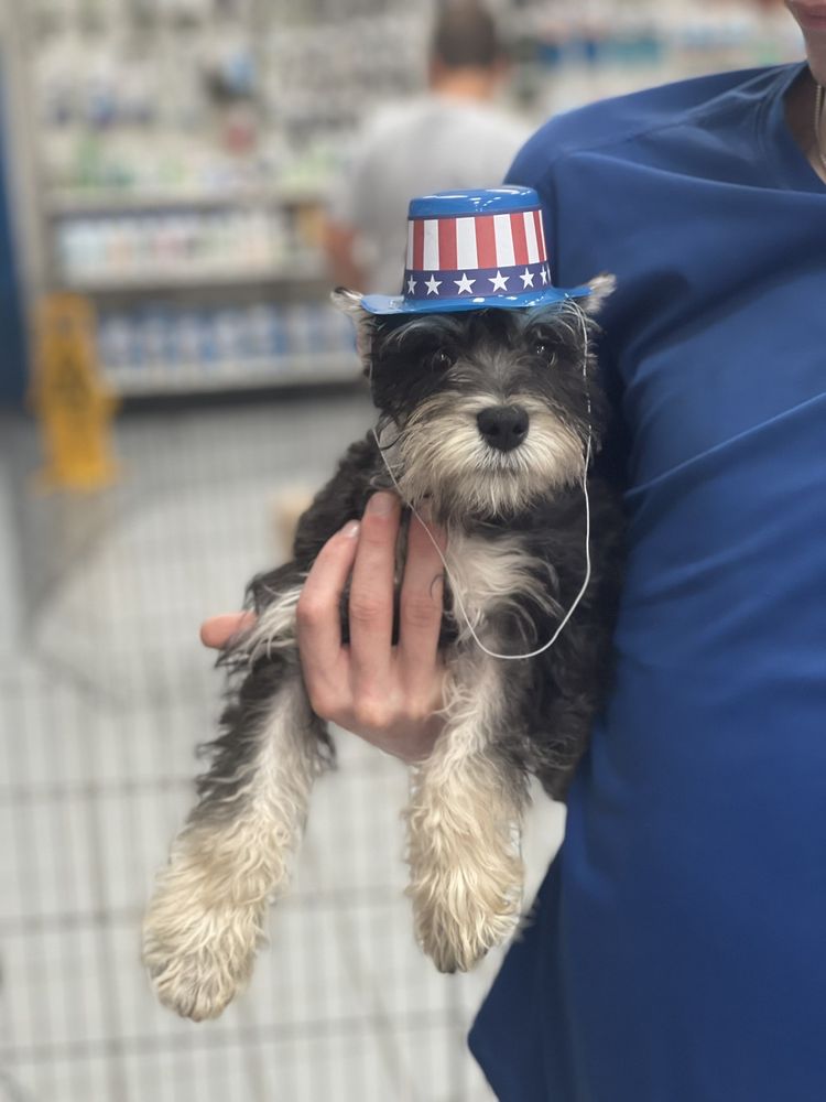 PET ZONE Updated August 2024 12 Photos 578 Aviation Rd