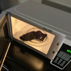 Econo Lodge - Found this in microwave so gut wrenching and nasty