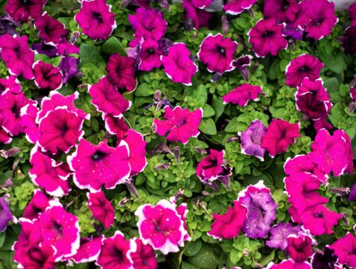 Lowe's Home Improvement by null