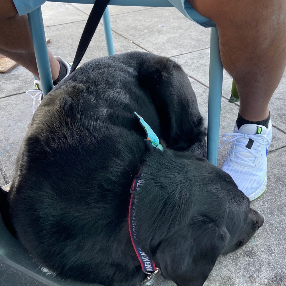 Moe Moons - Dog friendly - New American Near Me - Myrtle Beach, South Carolina