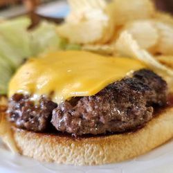 Harry's Place - Cheeseburger
