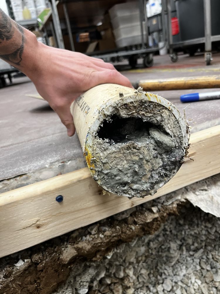 Slide of Arkansas Rooter