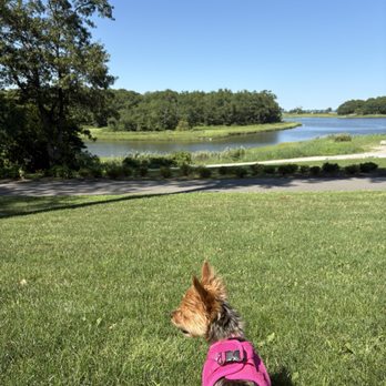 Merrymount Park - Parks Near Me - Quincy, Massachusetts