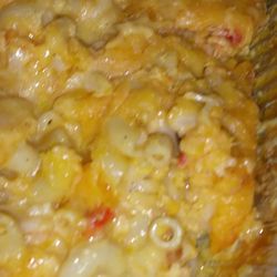 Carolina Seafood