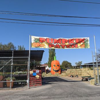 Sunset Gardens - Nurseries & Gardening Near Me - El Paso, Texas