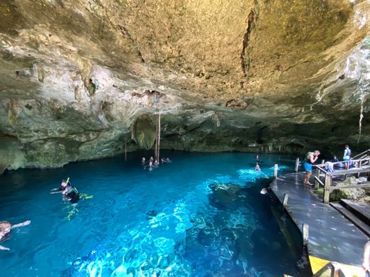 Two Eyes Cenote by null