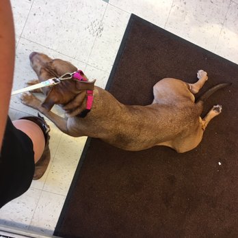 Seattle Animal Shelter - At City Market! - Animal Shelters Near Me - Seattle, Washington Seattle Animal Shelter - At City Market! - Animal Shelters Near Me - Seattle, Washington