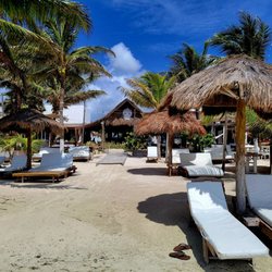 Yaya Beach Club - Pick out your favorite place to sit and enjoy the beach for the day!