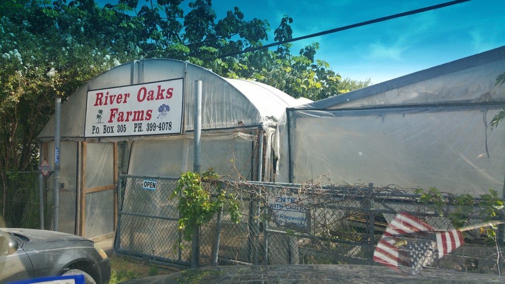 RIVER OAKS NURSERY Updated August 2024 Pennsylvania Ave, San Benito