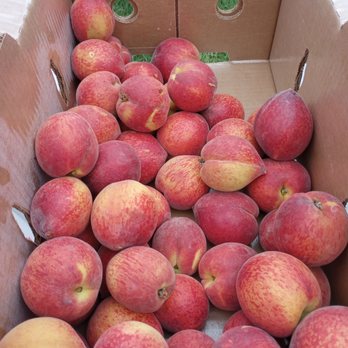 The Southern Cross - Fruits & Veggies Near Me - Berea, Kentucky