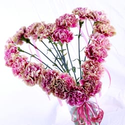 Sarah Horne Flowers