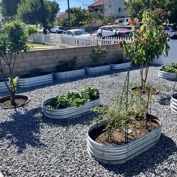 Edgar Landscaping - Tree Services Near Me - Wilmington, California Edgar Landscaping - Tree Services Near Me - Wilmington, California
