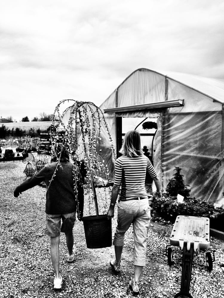 GARDENS TO GO Updated October 2024 4404 Rainbow Dr, Jefferson City