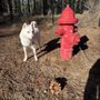 Bijou Dog Park