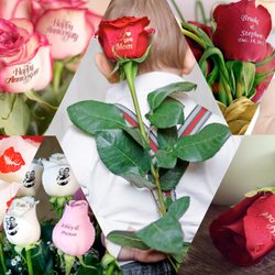 Speaking Roses