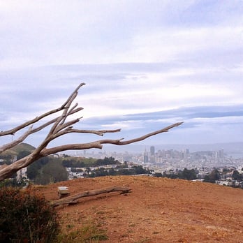 Mount Davidson Park - Downtown view from the bluff at the top - Parks Near Me - San Francisco, California Mount Davidson Park - Downtown view from the bluff at the top - Parks Near Me - San Francisco, California