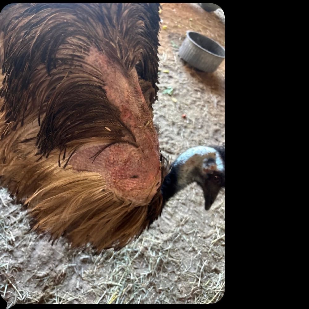 ​Happi Farm - Community Service/Non-Profit Near Me - Davie, Florida