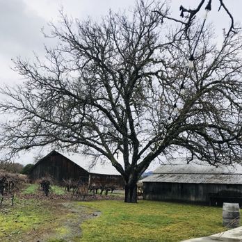 Testa Vineyards - Wineries Near Me - Calpella, California Testa Vineyards - Wineries Near Me - Calpella, California