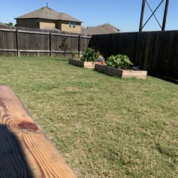 Happy Roots Learning Center - Our garden is thriving