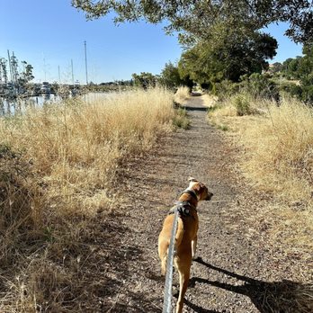 Marina Crossing Apartments - Marina trail - Apartments Near Me - Petaluma, California Marina Crossing Apartments - Marina trail - Apartments Near Me - Petaluma, California