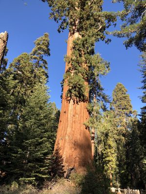 Kings Canyon National Park by null