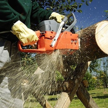 Dave's Killer Tree Service - Tree Services Near Me - Fairbanks, Alaska Dave's Killer Tree Service - Tree Services Near Me - Fairbanks, Alaska